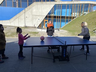 IMG-2294