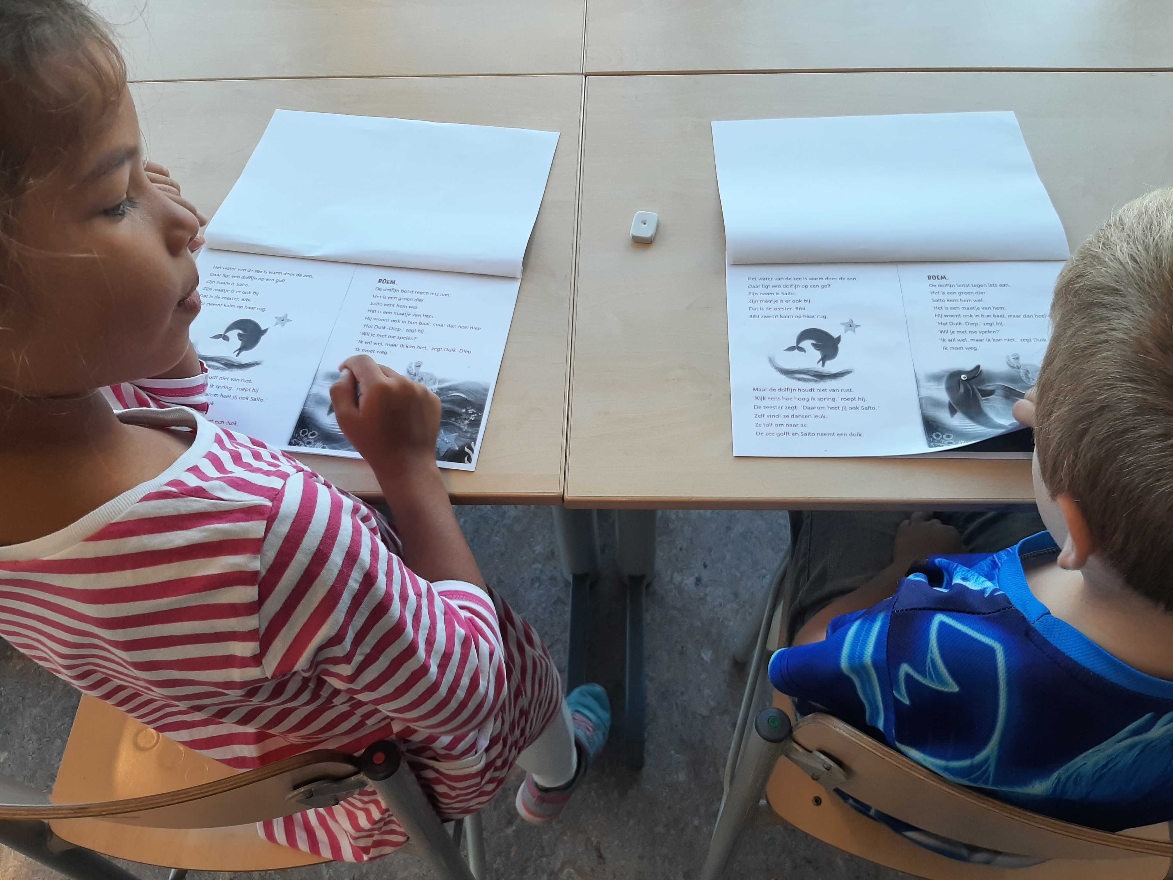 Boosterlezen groep 4